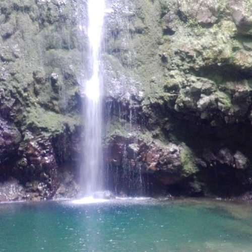IMG_20190516_120922 Madeira